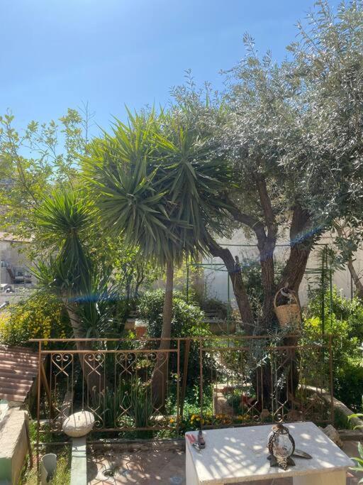 Central House With Beautiful Garden Amman Dış mekan fotoğraf